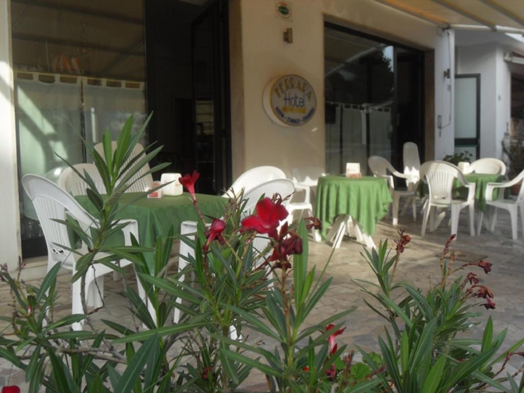 Hotel Ferrara سان بنيديتّو ديل ترونتو المظهر الخارجي الصورة